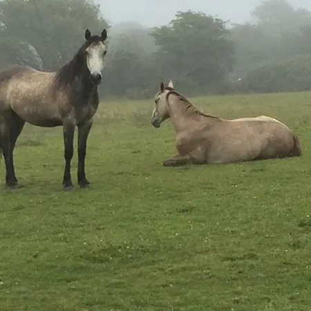 Breanloughaun Briarhill فندق مبيت وإفطار