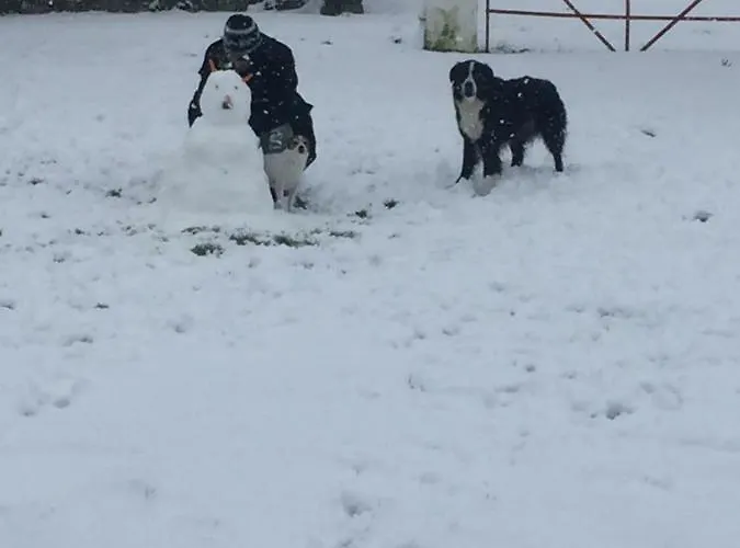 Breanloughaun Briarhill Отель типа 