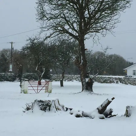 Breanloughaun Briarhill * Galway