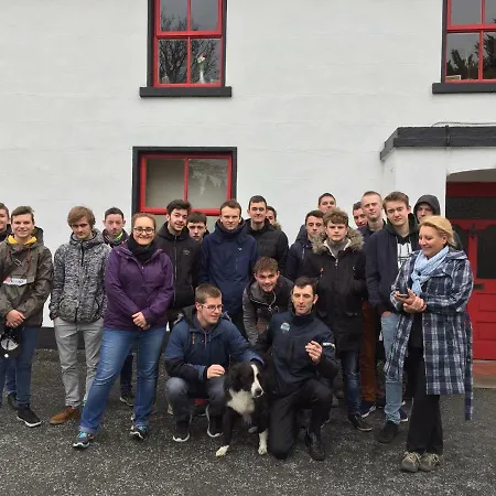 Panzió Breanloughaun Briarhill Galway