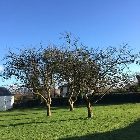 Breanloughaun Briarhill Galway