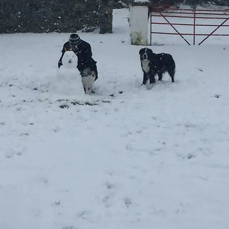 Breanloughaun Briarhill B&B 골웨이