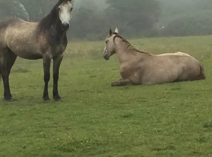 Breanloughaun Briarhill B&B