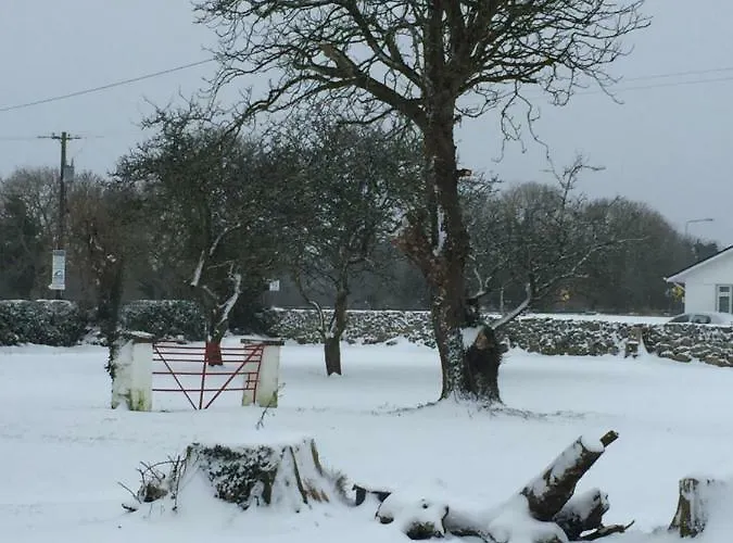 Breanloughaun Briarhill * 골웨이